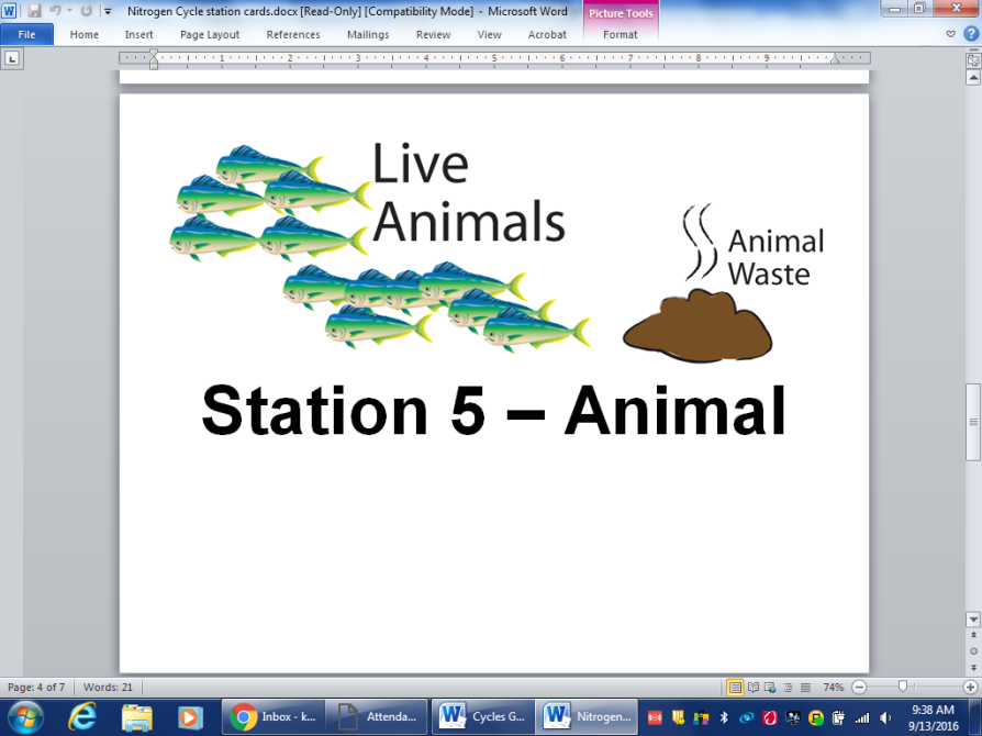 Animals — fish and wildlife